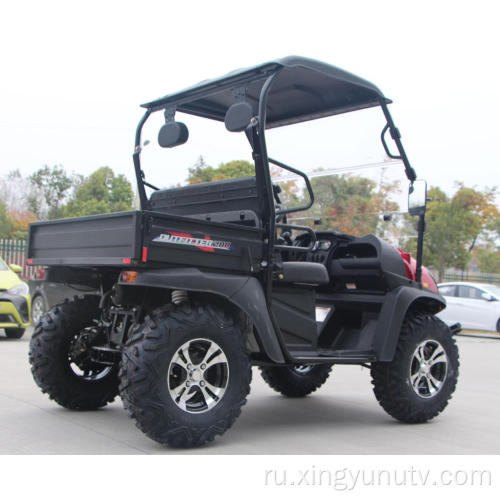 EFI 200CC UTV с EPA для взрослых